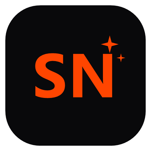 SaasNiche logo